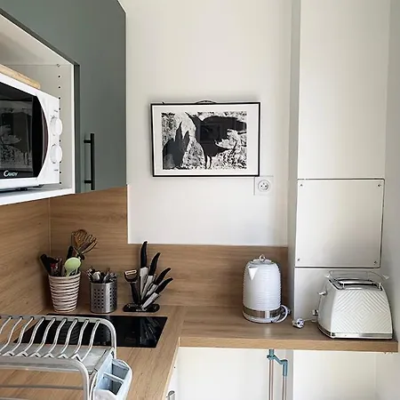 2 Pieces Avec Balcon Plein Sud פריז