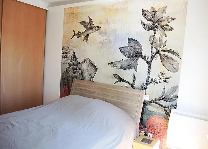 2 Pieces Avec Balcon Plein Sud Paris